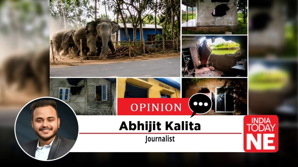 Living on the Frontline: Surviving Human-Elephant Conflict
