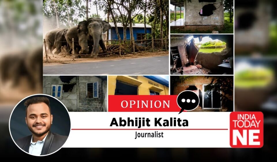 Living on the Frontline: Surviving Human-Elephant Conflict