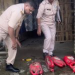 Major Bust: Assam Excise Seizes Illegal Liquor on NH-315