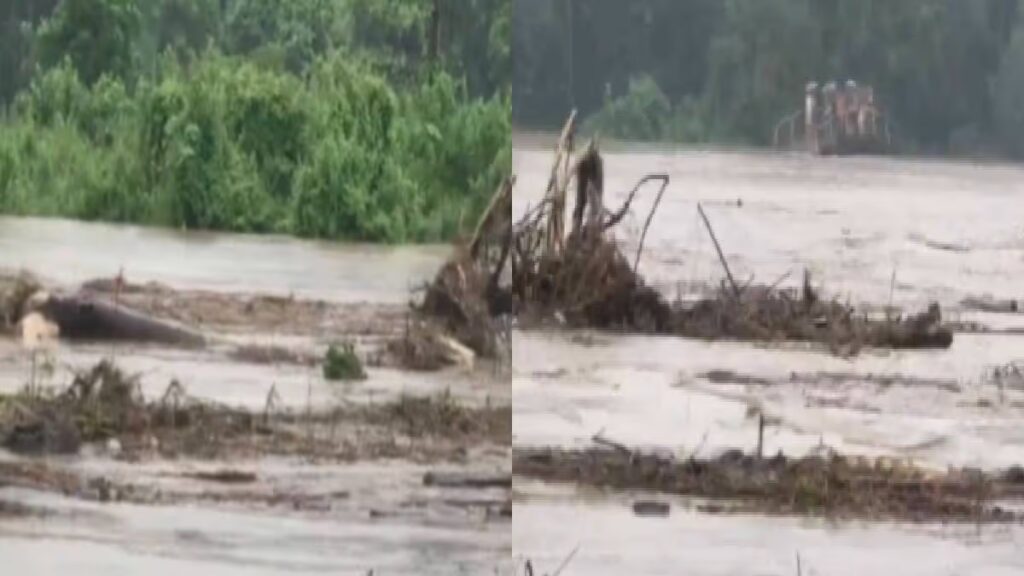 Assam Floods: 300m Iron Bridge Washed Away in Dhemaji — Access Cut