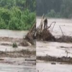 Assam Floods: 300m Iron Bridge Washed Away in Dhemaji — Access Cut
