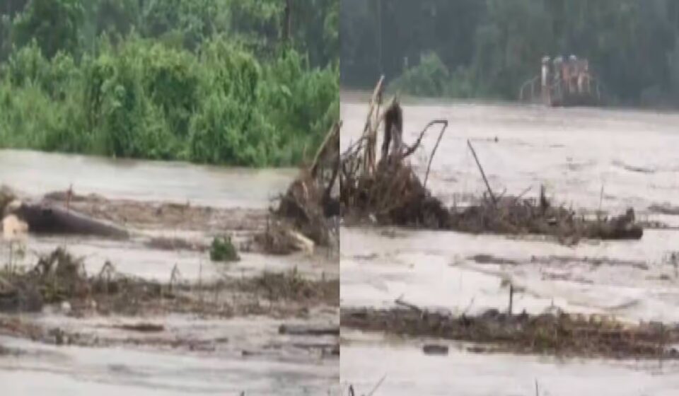 Assam Floods: 300m Iron Bridge Washed Away in Dhemaji — Access Cut