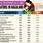 NFHS-6: Nagaland's Impressive Gains in Maternal & Child Health