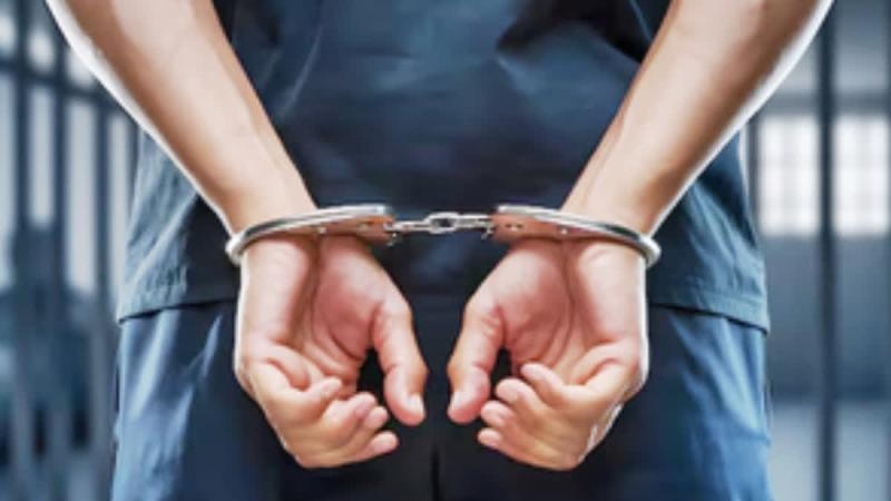 Delhi Police Arrest Ivorian, Nagaland Woman in Matrimonial Scam