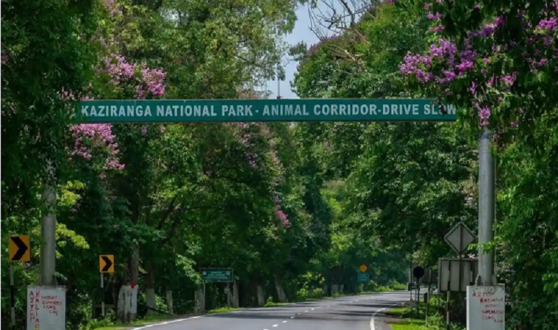 Assam Flood Alert: Kaliabor Issues Prohibitory Order Near Kaziranga