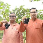 Tripura Boosts Grape Cultivation with Trials of 18 Varieties