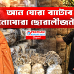 অদম্য দেৱীকা: আন বাটত আগবাঢ়ি সপোনক বাস্তৱ কৰা যাত্ৰা