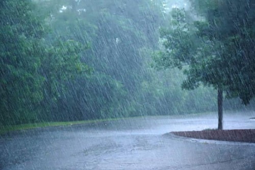 IMD Heavy Rain Alert for Arunachal Pradesh: 2-Day Warning