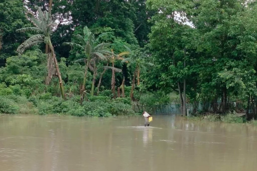 Assam Floods Crisis: Death Toll Rises to 68; 11.41 Lakh Affected