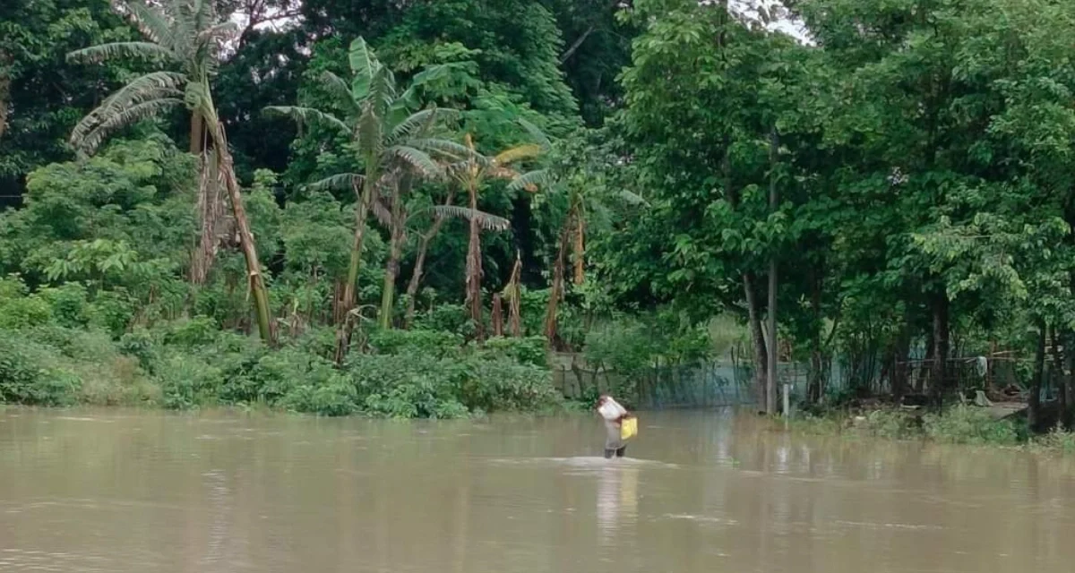 Assam Floods Crisis: Death Toll Rises to 68; 11.41 Lakh Affected