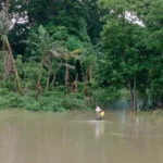 Assam Floods Crisis: Death Toll Rises to 68; 11.41 Lakh Affected