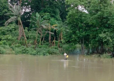 Assam Floods Crisis: Death Toll Rises to 68; 11.41 Lakh Affected