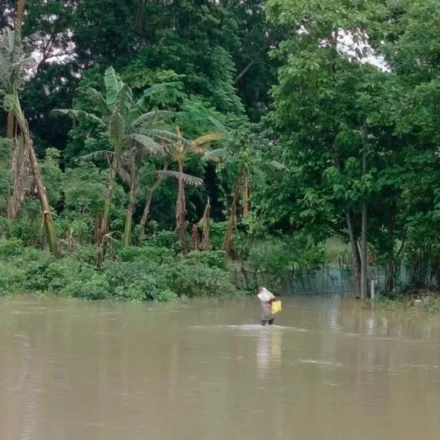 Assam Floods Crisis: Death Toll Rises to 68; 11.41 Lakh Affected