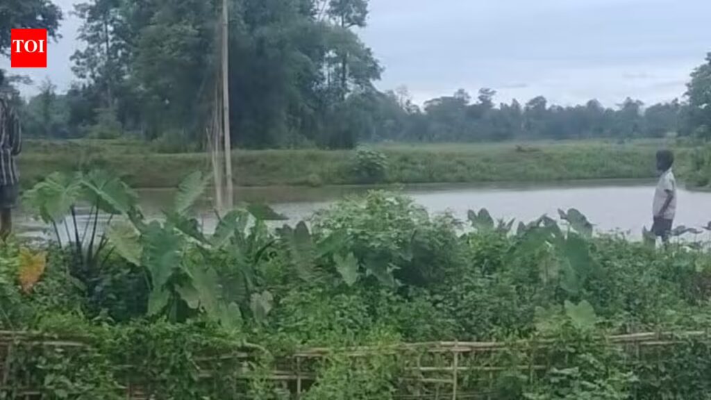 Shocking Death of Elephant in Tinsukia Paddy Field — Probe Launched