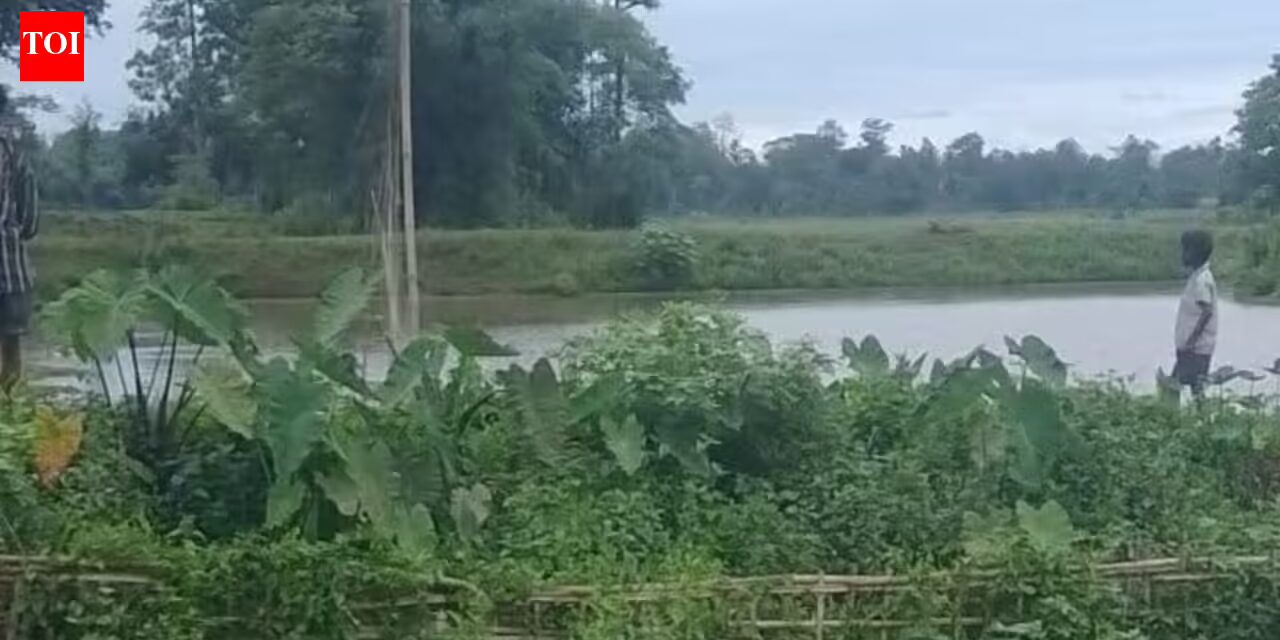 Shocking Death of Elephant in Tinsukia Paddy Field — Probe Launched