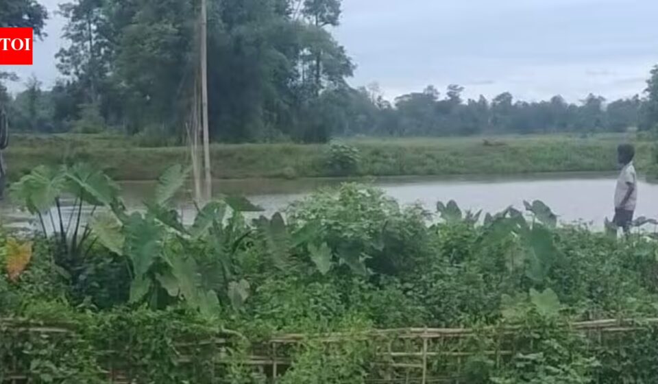 Shocking Death of Elephant in Tinsukia Paddy Field — Probe Launched