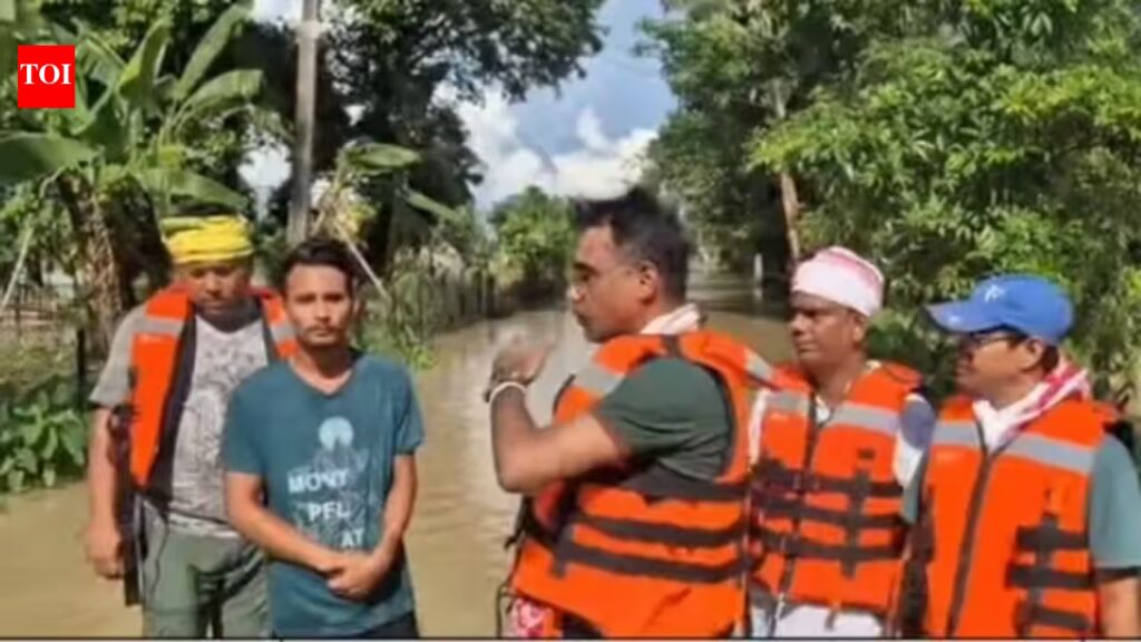 Relief Trucks Bring Hope as Upper Assam Grapples with Floods