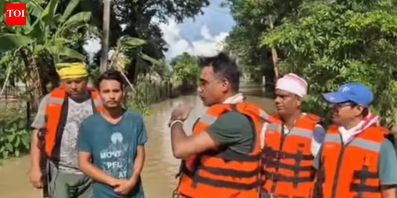 Relief Trucks Bring Hope as Upper Assam Grapples with Floods