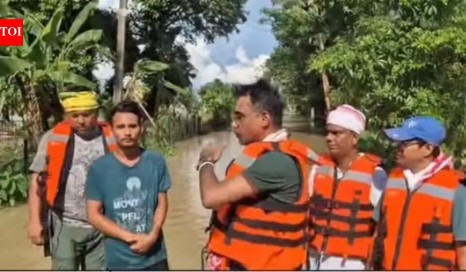 Relief Trucks Bring Hope as Upper Assam Grapples with Floods