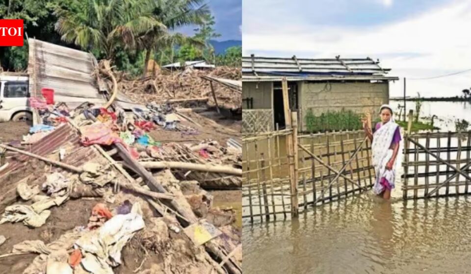 Assam Floods: Village Wiped Out in an Hour — Toll 78, 3L Affected