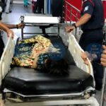 Shocking Violence in Manipur's Kangpokpi: Eight-Year-Old Injured