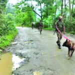 Kuki CSO Calls 24-Hour NH-37 Shutdown, Seeks Probe on Kangpokpi Attack