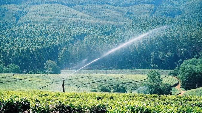 Assam's Rs 4,000 crore pressurised irrigation overhaul — 5-year boost