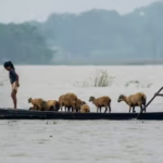 Assam Floods: Army Launches 'Operation Jal Rahat' — IAF Standby