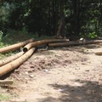 Zunheboto Landslide Destroys Sole Water Pipe — Urgent Supply Crisis