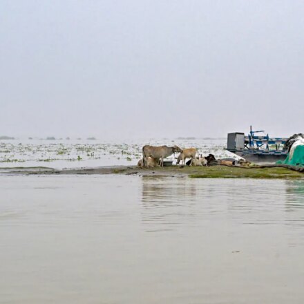 Assam Floods: Death Toll 68, 5 Lakh+ Affected — Urgent Relief Needed