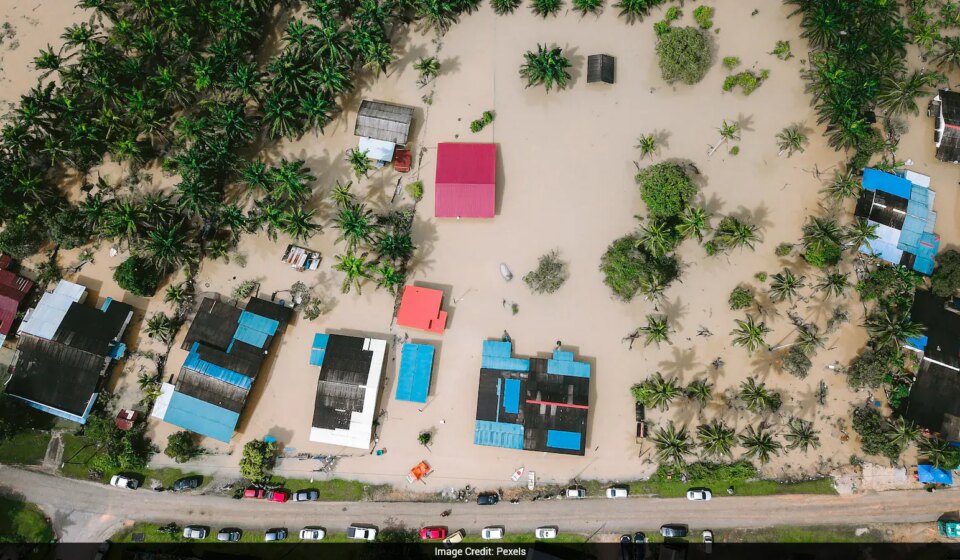 Heroic Son Swims 3 Hours Through Floodwaters to Reach Parents in China