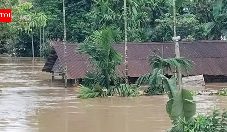 New Study Reveals Hill Torrents, Not Brahmaputra, Caused Assam Floods