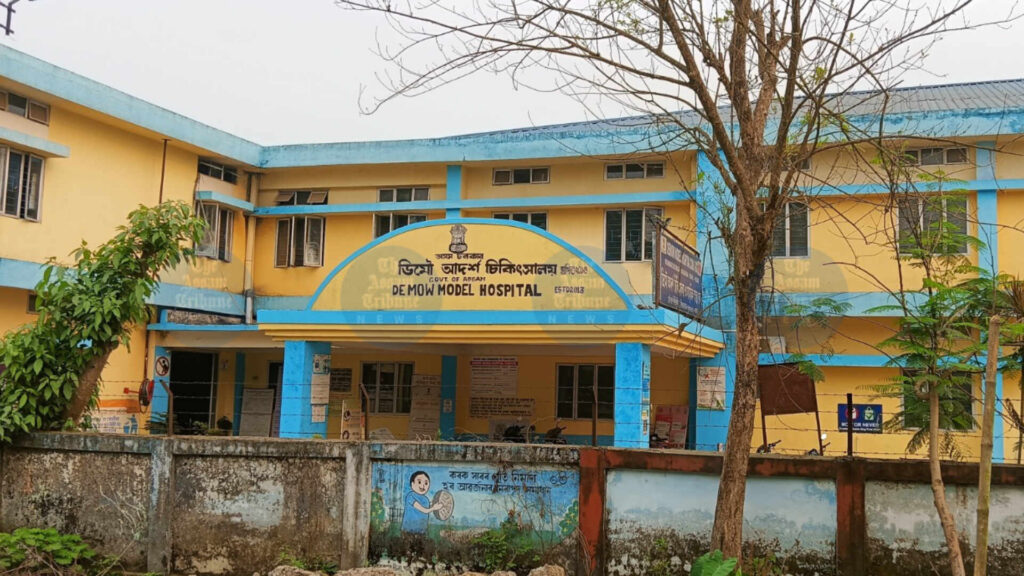 Demow Hospital's Milestone: 4,000 Snakebites, Just One Death