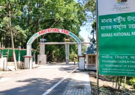 Landmark Gauhati HC Order Halts Encroachment in Manas National Park