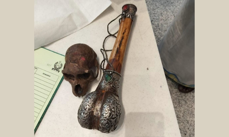 Shock at Delhi Airport: Monkey Skull Found in Passenger Luggage