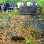 PM Hails Assam’s Elephant and Pygmy Hog Conservation in Mann Ki Baat