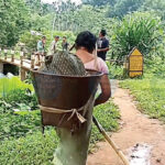 Assam Border Villages Struggle for Power, Water, and Healthcare