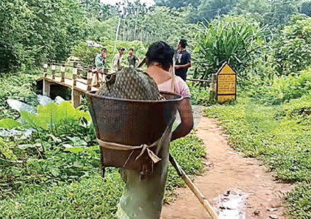 Assam Border Villages Struggle for Power, Water, and Healthcare
