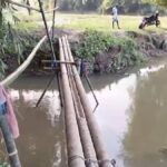 Kaliabor Bridge Woes: Shalkona-Bamuni Residents Use Risky Footbridge