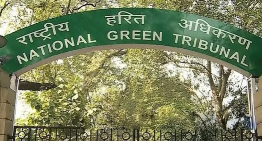NGT Seeks Fresh Technical and Ecological Review of Chiethu Airport