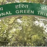NGT Seeks Fresh Technical and Ecological Review of Chiethu Airport
