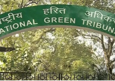 NGT Seeks Fresh Technical and Ecological Review of Chiethu Airport