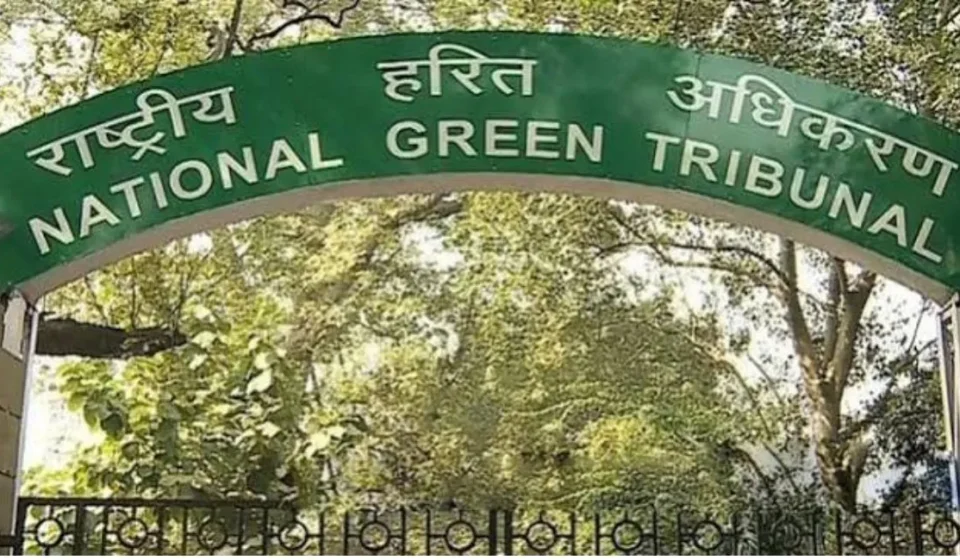 NGT Seeks Fresh Technical and Ecological Review of Chiethu Airport