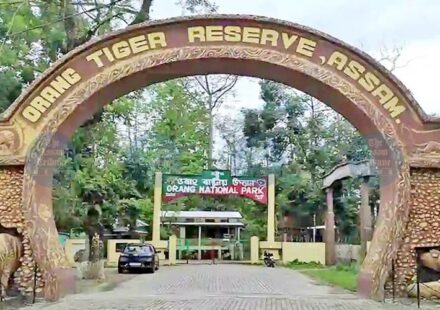 Orang Tiger Reserve Reopens 2026–27: Visitor Phones Banned