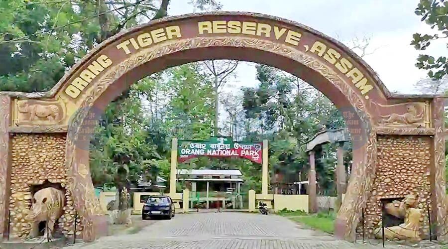 Orang Tiger Reserve Reopens 2026–27: Visitor Phones Banned