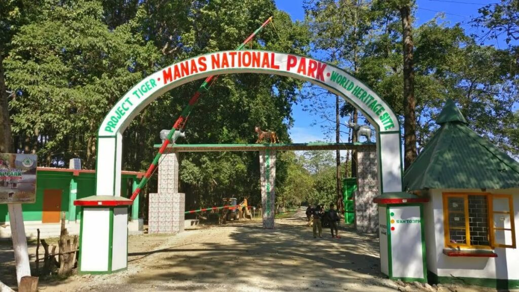 Assam Wildlife Tourism Season Begins as Manas Reopens
