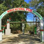 Assam Wildlife Tourism Season Begins as Manas Reopens