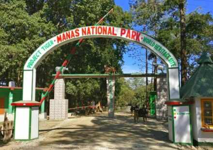 Assam Wildlife Tourism Season Begins as Manas Reopens