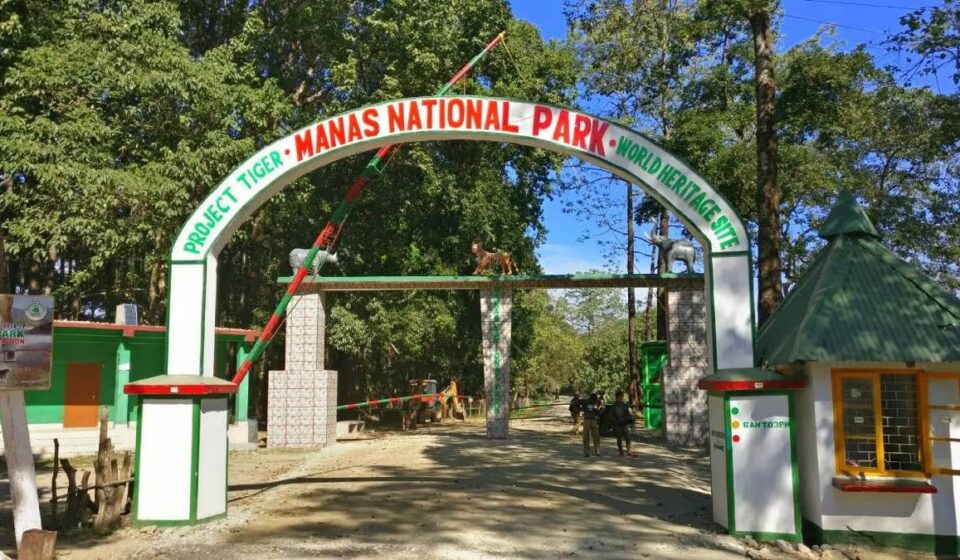 Assam Wildlife Tourism Season Begins as Manas Reopens