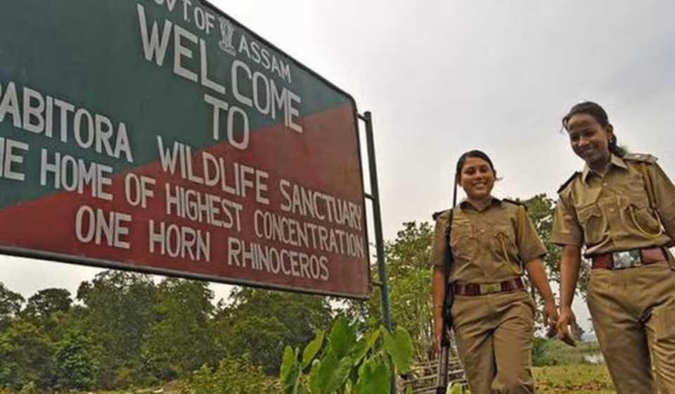 Assam Transfers 2,137 Forest Department Staff via Online Randomisation